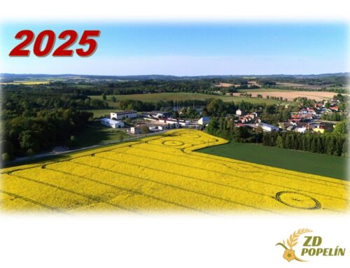 Výsledky hospodaření roku 2025 v&nbsp;číslech a&nbsp;grafech